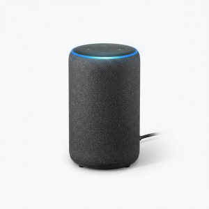 Enceinte Intelligente HomeVoice